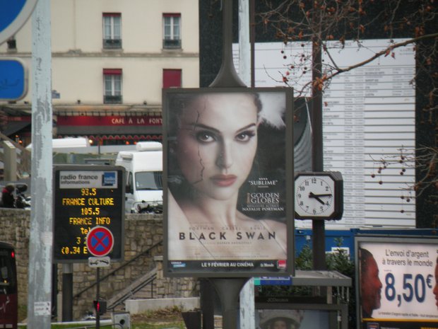  black swan